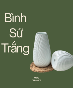 Bình Sứ Trắng